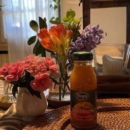 Yoga succo di frutta  alla pesca