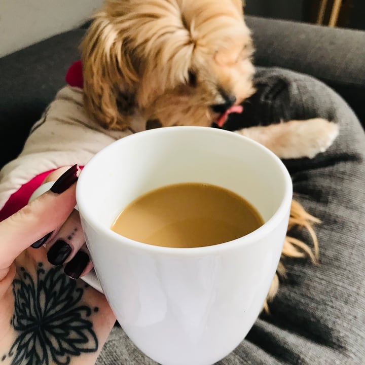 photo of Lifestyle Food Barista Blend Oat Milk shared by @skybadger on  13 Jun 2021 - review
