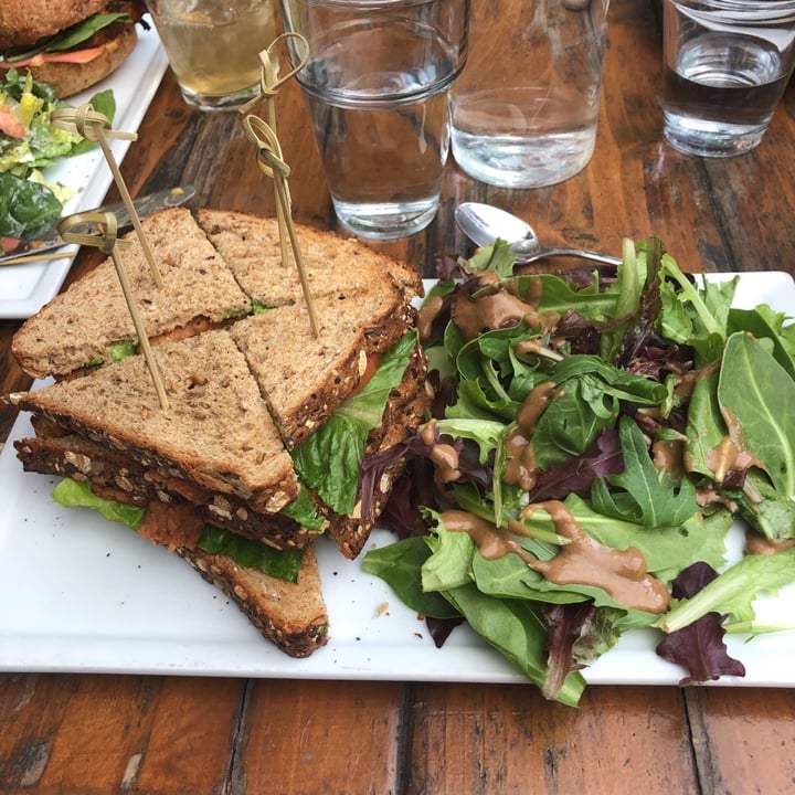 photo of SunCafe BLT Club shared by @terri on  28 Feb 2020 - review