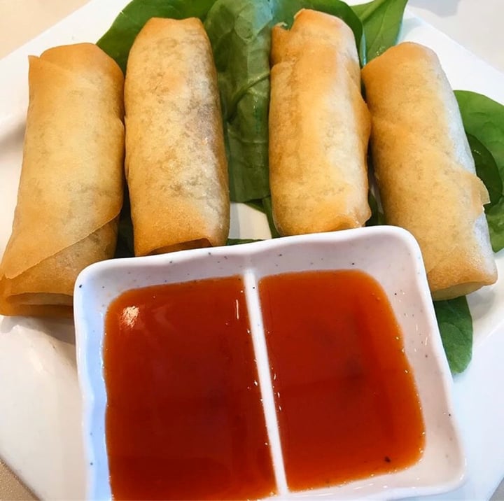 photo of VeGreen Vegetarian Fusion Restaurant Spring Rolls shared by @tofutrey on  15 Dec 2019 - review