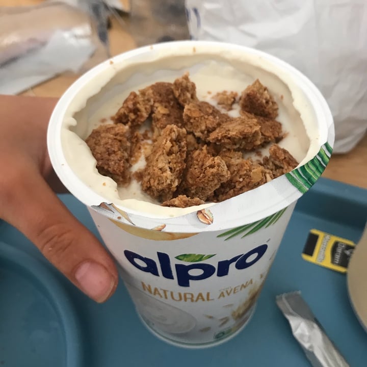 photo of Alpro Plain No Sugars shared by @flora004 on  12 Dec 2021 - review