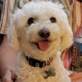 @smaynes profile image