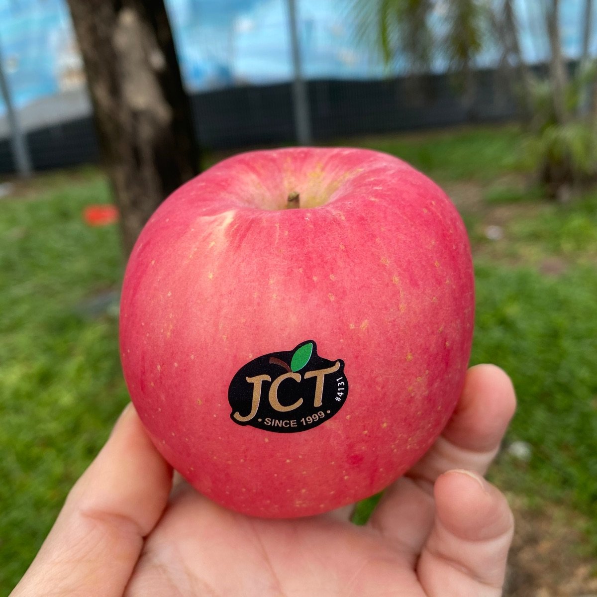 Fuji Apples from JCT - Vegan Product Reviews & Ratings