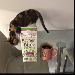 So nice organics