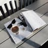 Dineen Coffee Co.