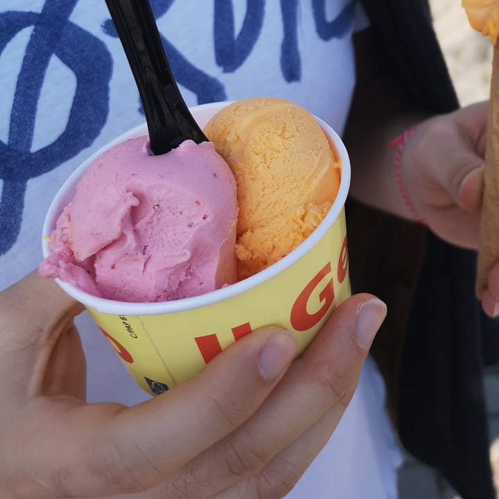 photo of Il Gelato Italiano Strawberry And Melon Ice-cream shared by @pgaia on  02 Apr 2022 - review
