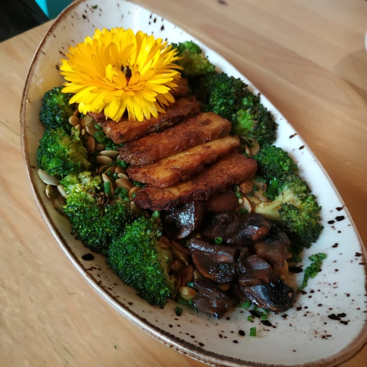 photo of MIMO Vegan Bistro Kashotto shared by @ornitorrincavegana on  30 Dec 2021 - review