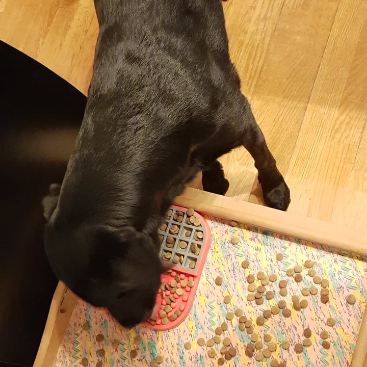 photo of Vegdog Green Crunch shared by @kananyctous on  06 Dec 2022 - review
