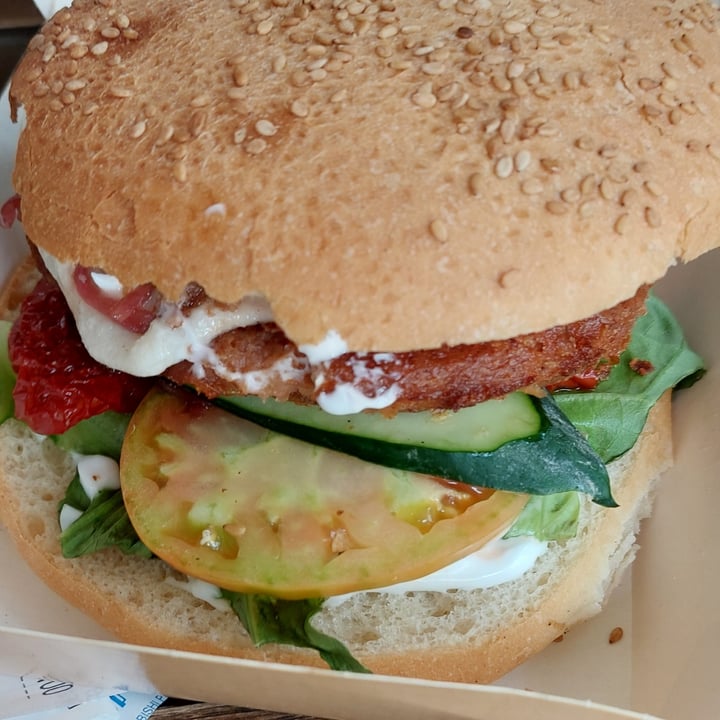 photo of Parco Romano Biodistretto Castelli Romani Burger veg shared by @figliadellaterra on  21 Aug 2022 - review