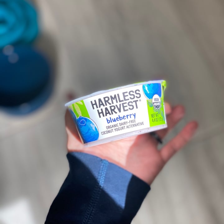 review photo of Harmless Harvest Blueberry coconut yoghurt shared by @vegankenji on 21 Dec 2020 - review