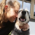 @johannaclaudia profile image