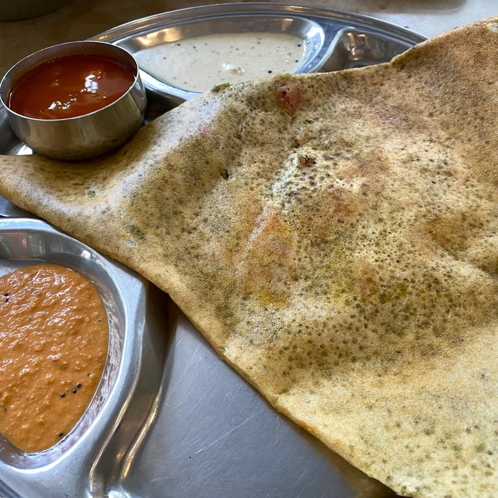 photo of Raj Restaurant Dhaniya Sada Dosai shared by @widdley on  29 Aug 2021 - review