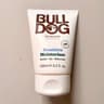 Bulldog