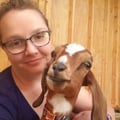 lexiegoats @lexiegoats profile image
