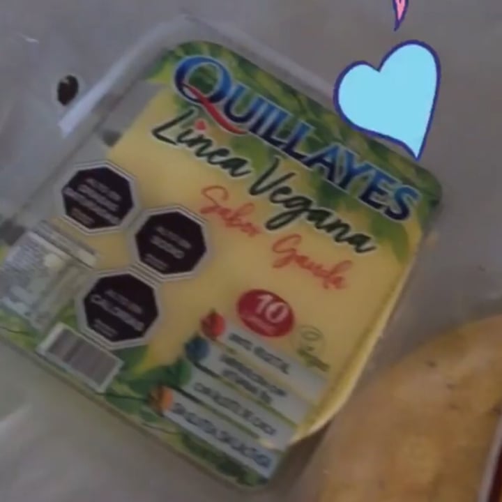photo of Quillayes Queso Sabor Gauda shared by @jazmarie on  08 Jan 2021 - review