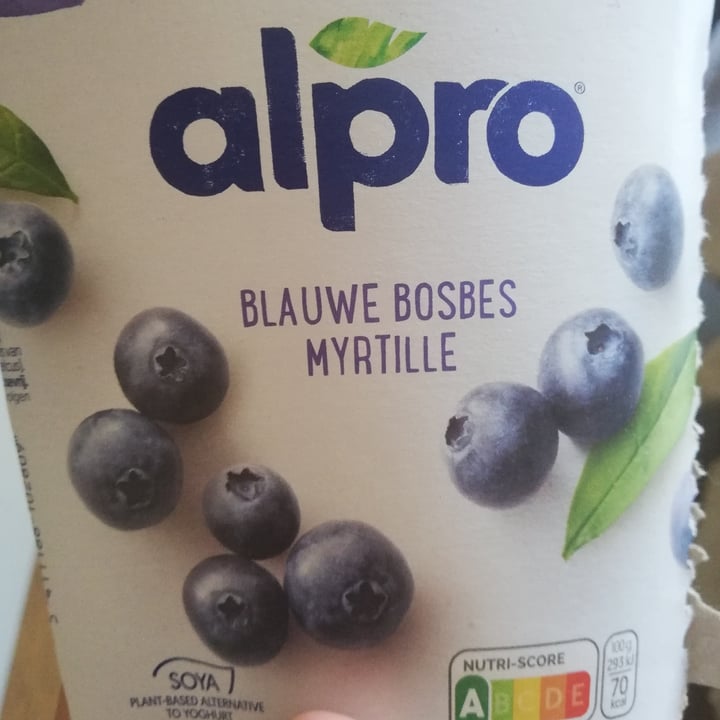 photo of Alpro Blueberry Yogurt shared by @melissaallieri on  12 Sep 2022 - review