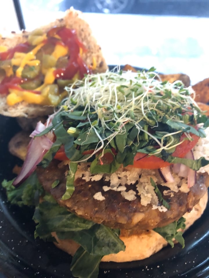 photo of Gorucha's Burger Hamburguesa de Lentejas shared by @dolores on  03 Mar 2020 - review