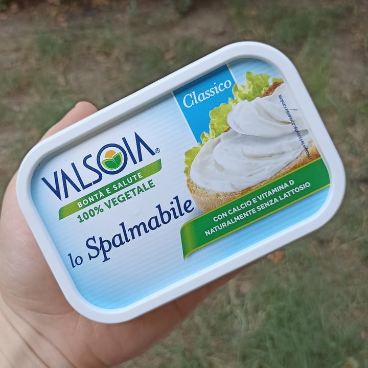 review photo of Valsoia Formaggio Vegetale shared by @rivoltantispecista on 24 Jul 2022 - review