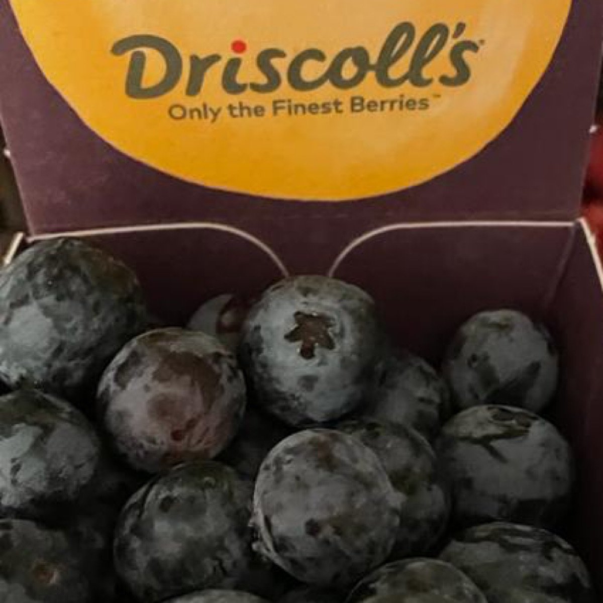 Driscoll's BLUEBERRIES JUMBO 125G DRISCOLL'S is halal suitable