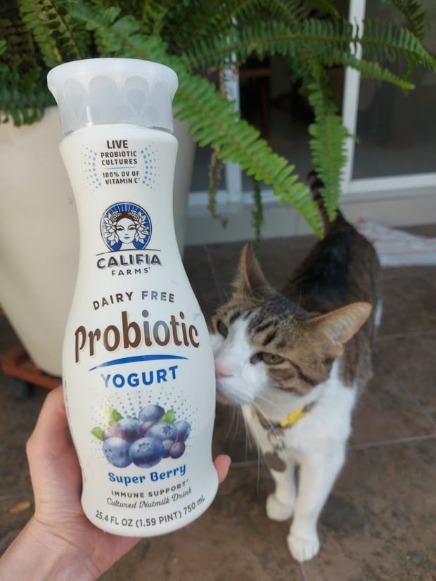 photo of Califia Farms Probiotic Dairy Free Yogurt Drink Super Berry shared by @andrearebeca on  15 Apr 2021 - review