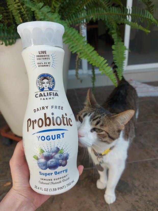review photo of Califia Farms Probiotic Dairy Free Yogurt Drink Super Berry shared by @andrearebeca on 15 Apr 2021 - review