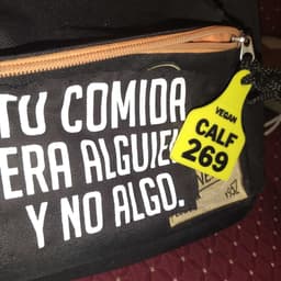 Caravana 269