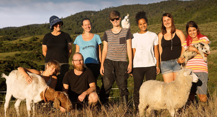 sanctuary crew from black sheep animal sanctuary