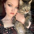 tschouten @tschouten profile image