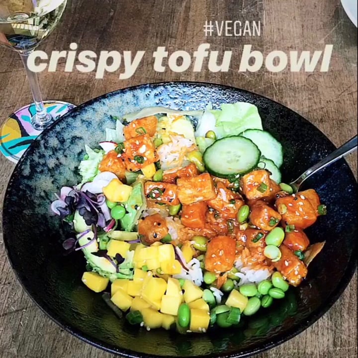 photo of Cactus Club Cafe CRISPY TOFU BOWL shared by @maggiehertzberg on  11 Feb 2019 - review