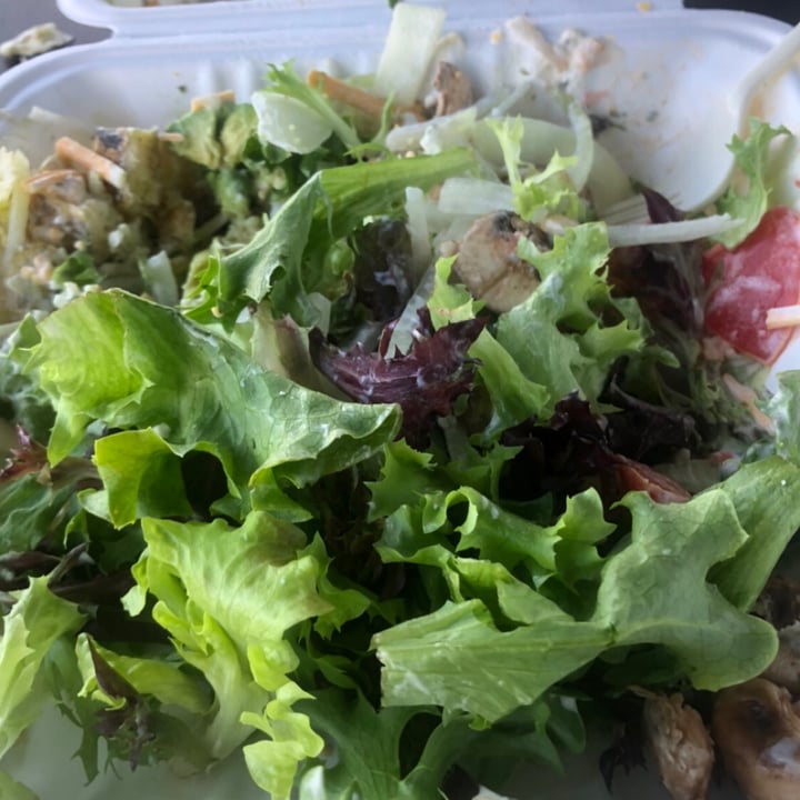photo of Dunedin Vegan Deli Greek Salad shared by @manuelaw on  31 Aug 2021 - review