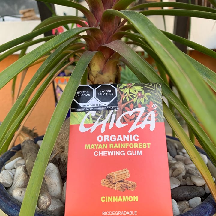photo of Chicza Organic Mayan Rainforest Chewing Gum Cinnamon shared by @nictecita on  15 Dec 2020 - review
