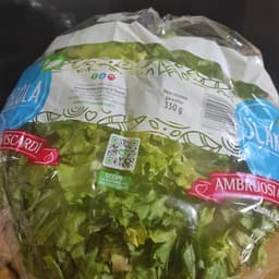 Ambruosi e Viscardi