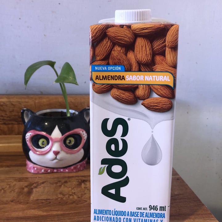 photo of Ades Leche de Almendras sabor Natural shared by @isabelinzunzaa on  21 Dec 2020 - review