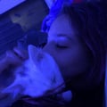 vegantobi @vegantobi profile image