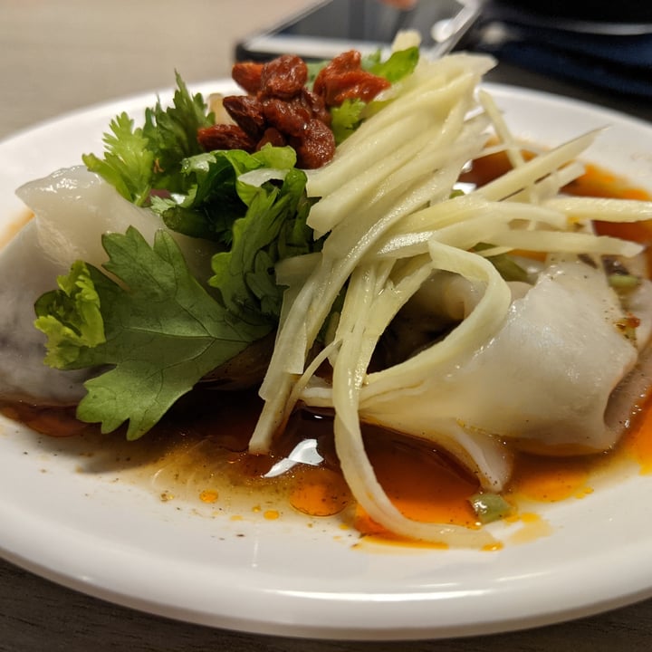 photo of Truly Vegetarian 非素不可 Chilli Dumpling shared by @tancoul on  19 Jan 2021 - review