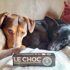 Top 20 Chocolate Awards