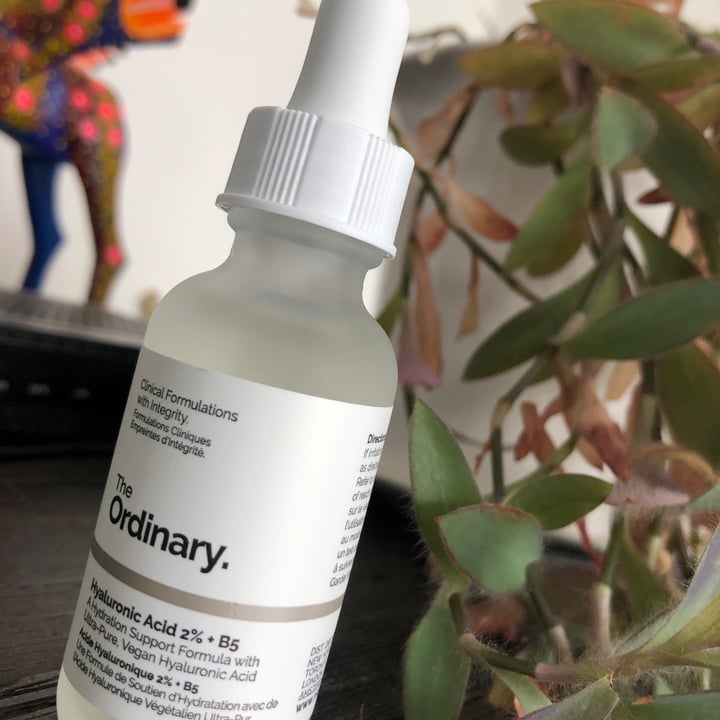 photo of The Ordinary Hyaluronic acid 2%+B5 shared by @nizayuni on  02 Jun 2021 - review