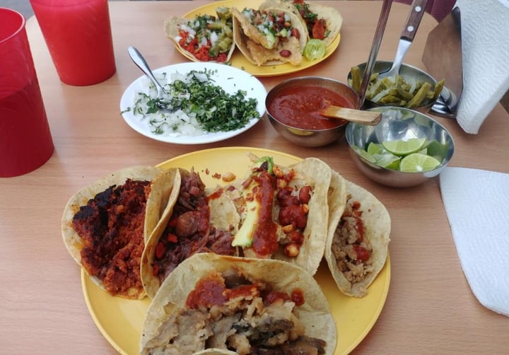 photo of Tacos Don Andres Tacos Chorizo Verde, Rojo Y Pastor shared by @zagadigala on  19 Jan 2020 - review