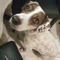 gkoutsileos @gkoutsileos profile image