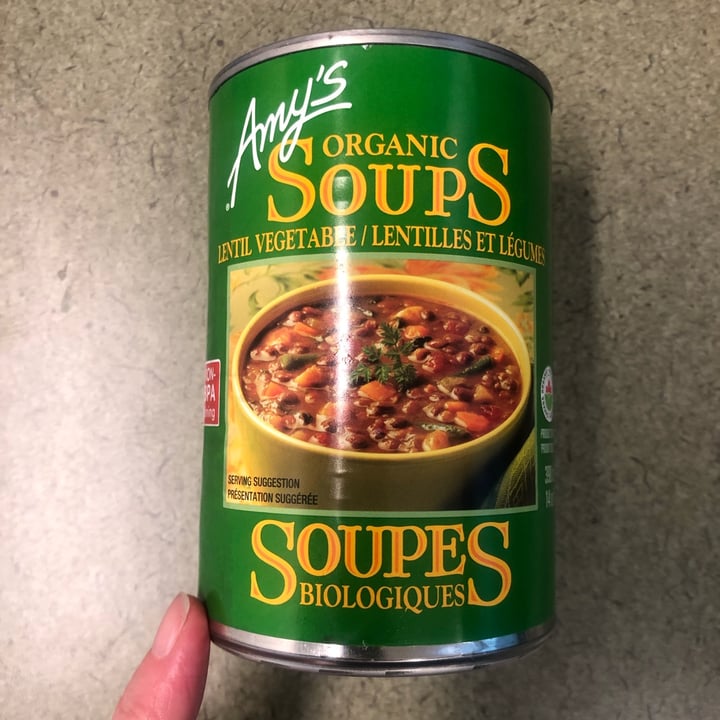 photo of Amy’s Lentil Vegetable Soup shared by @terrilee on  09 Nov 2021 - review