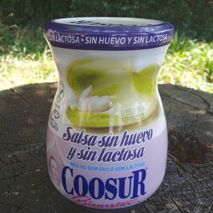 photo of Coosur Salsa sin Huevo y Lactosa (Mayonesa Vegana) shared by @blackemma on  29 Aug 2022 - review