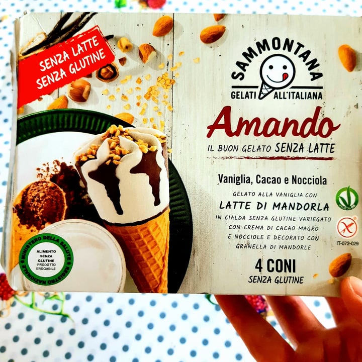 photo of Sammontana Cono Vaniglia, Cacao E Nocciola shared by @papillondelacroix on  17 Apr 2021 - review