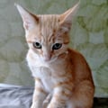 sissi5 @sissi5 profile image