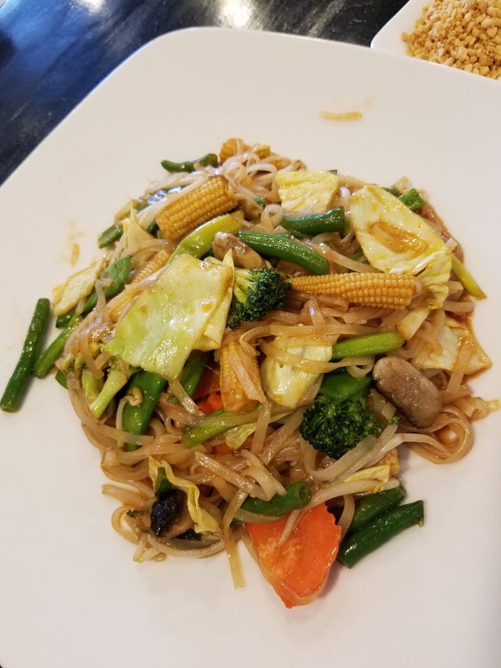 photo of Silk Thai Pad Thai - Vegetable shared by @slsbates on  29 Feb 2020 - review