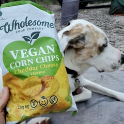 Wholesome food company