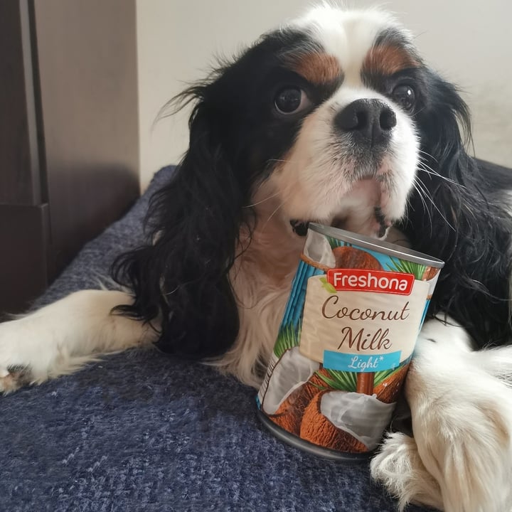 Freshona Coconut milk light Review abillion