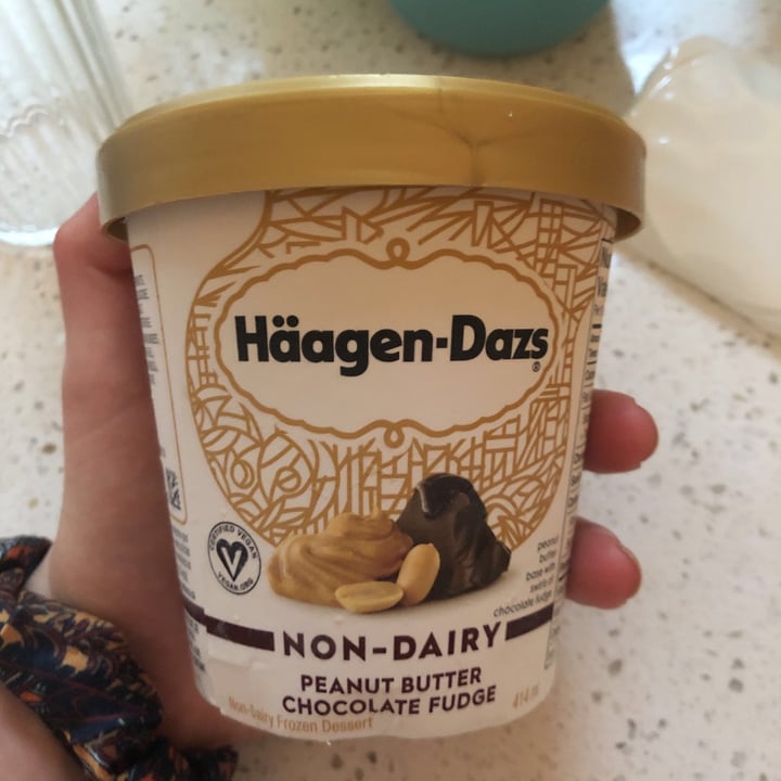 photo of Häagen-Dazs Peanut Butter Chocolate Fudge Non-Dairy shared by @athenaabraci on  18 May 2020 - review