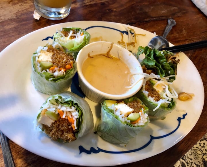 photo of Indochine Vegan Fresh Spring Rolls shared by @s1224 on  20 Jul 2019 - review