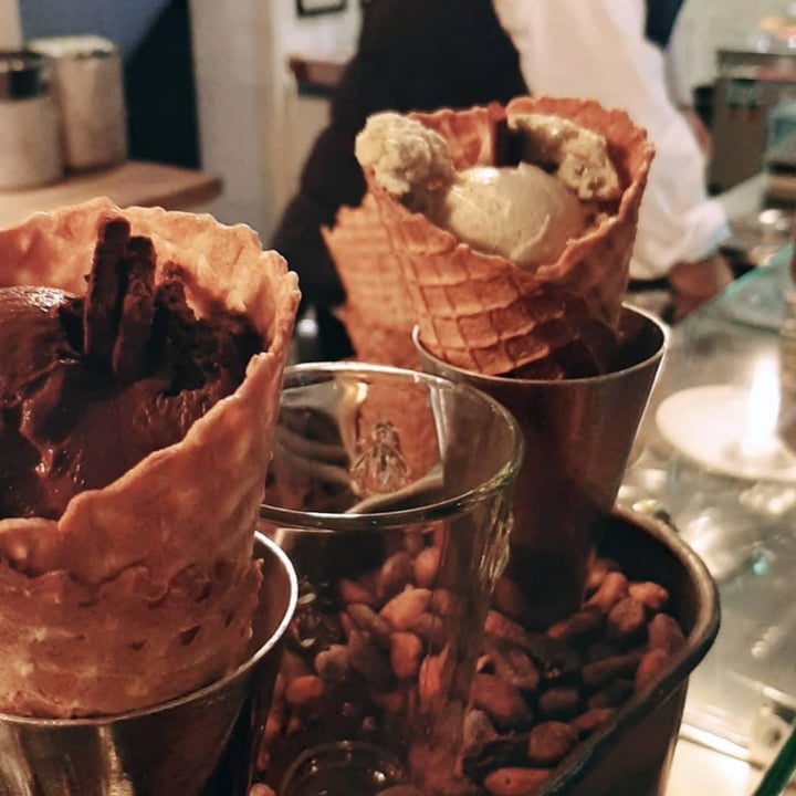 review photo of Goldhelm Eiskrämer Schokosorbet shared by @aemelie on 30 Apr 2020 - review