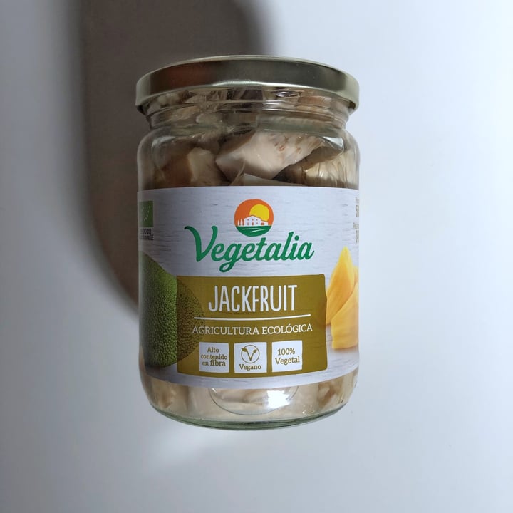 photo of Vegetalia Jackfruit shared by @izaskunquilez on  01 Mar 2021 - review